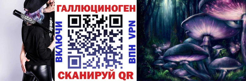 где купить наркоту  Верхний Уфалей  Псилоцибиновые грибы мухоморы 