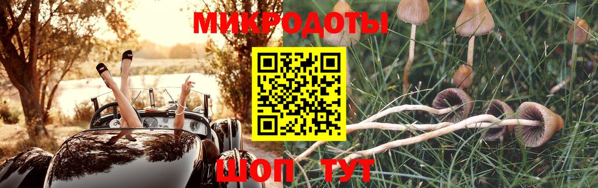 Галлюциногенные грибы Magic Shrooms  Верхний Уфалей  Псилоцибиновые грибы Cubensis 